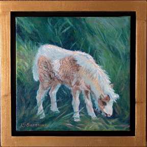 Linda Sorensen Baby Miniature Horse with gold faced floater frame