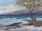 LL Sorensen Kohala Lava Coast Thumbnail