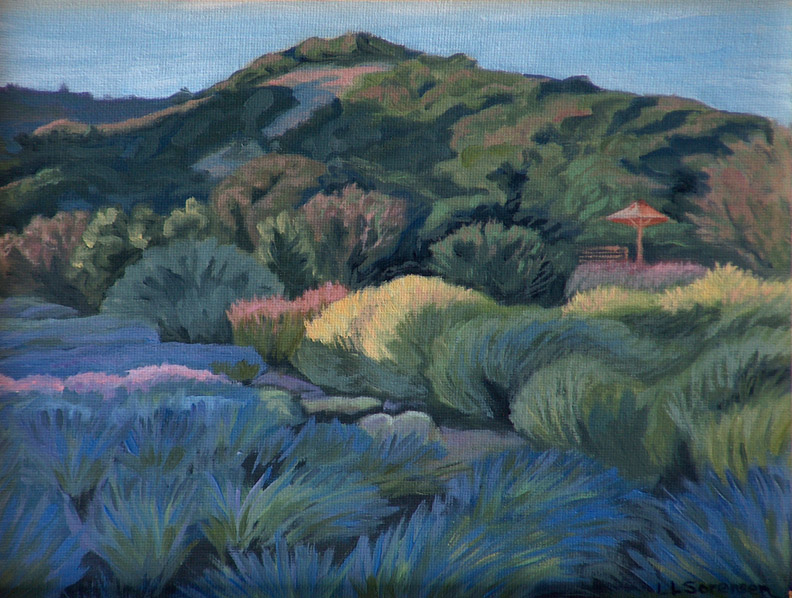 Late Light Matazas Lavender LL Sorensen