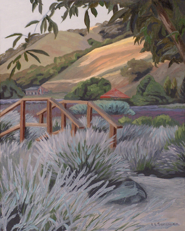 Matanzas Rock Garden LL Sorensen 