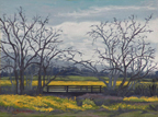 Sorensen LL Mustard Walkway The Laguna Thumb