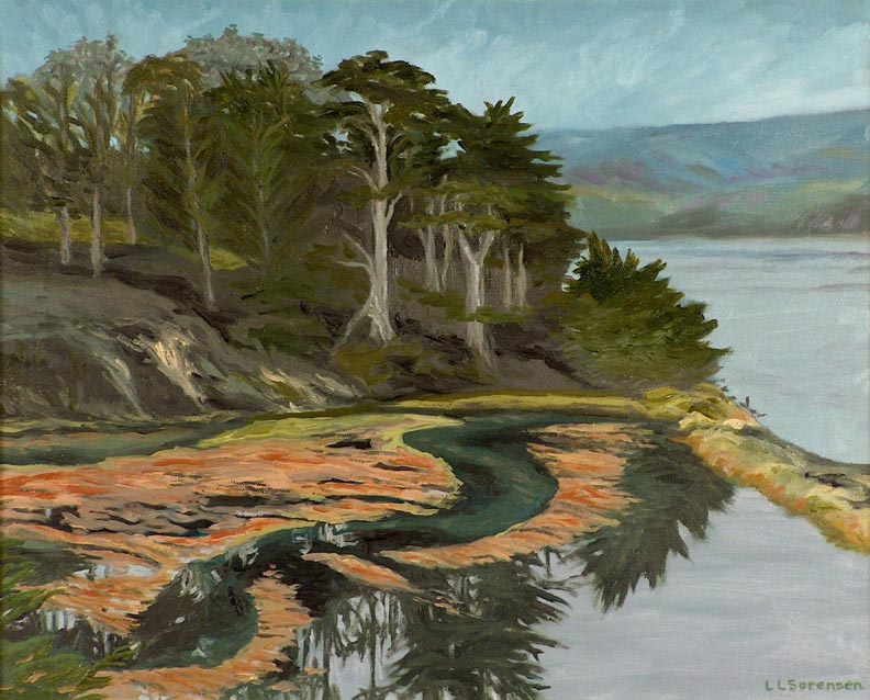 Reflections Along Tomales Bay LL Sorensen