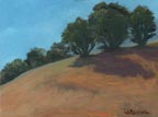Three on Olompali Hilltop LL Sorensen