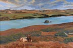 Tomales Bay Hog Island and Stag LL Sorensen Thumbnail
