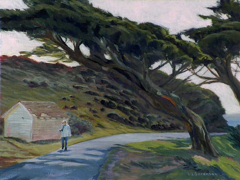 Trail to the Lighthouse Point Reyes California