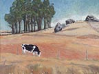 LL Sorensen Two Rock Holstein
