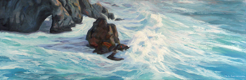 Linda Sorensen Bodega Head Surf
