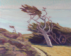 Linda Sorensen Cypress in Fog Bodega Head