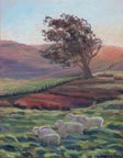 Late Day Glow Linda Sorensen Thumbnail