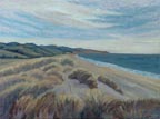 Limantour Dunes Linda Sorensen